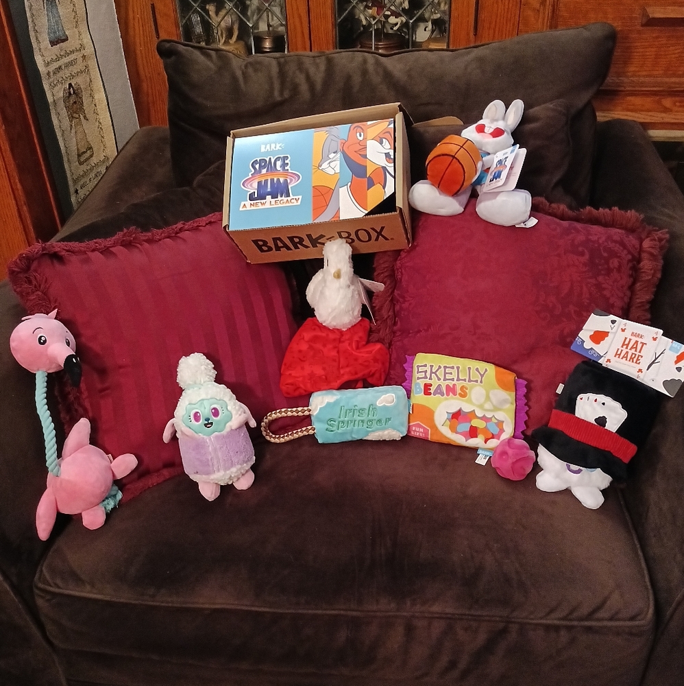 BARK BOX LARGE (TOYS ONLY!) 8 TOYS NWT